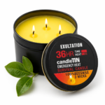 La Flamme Éternelle du Sanctuaire La Flamme Éternelle du Sanctuaire