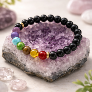 L'Alignement Nocturne L'Alignement Nocturne